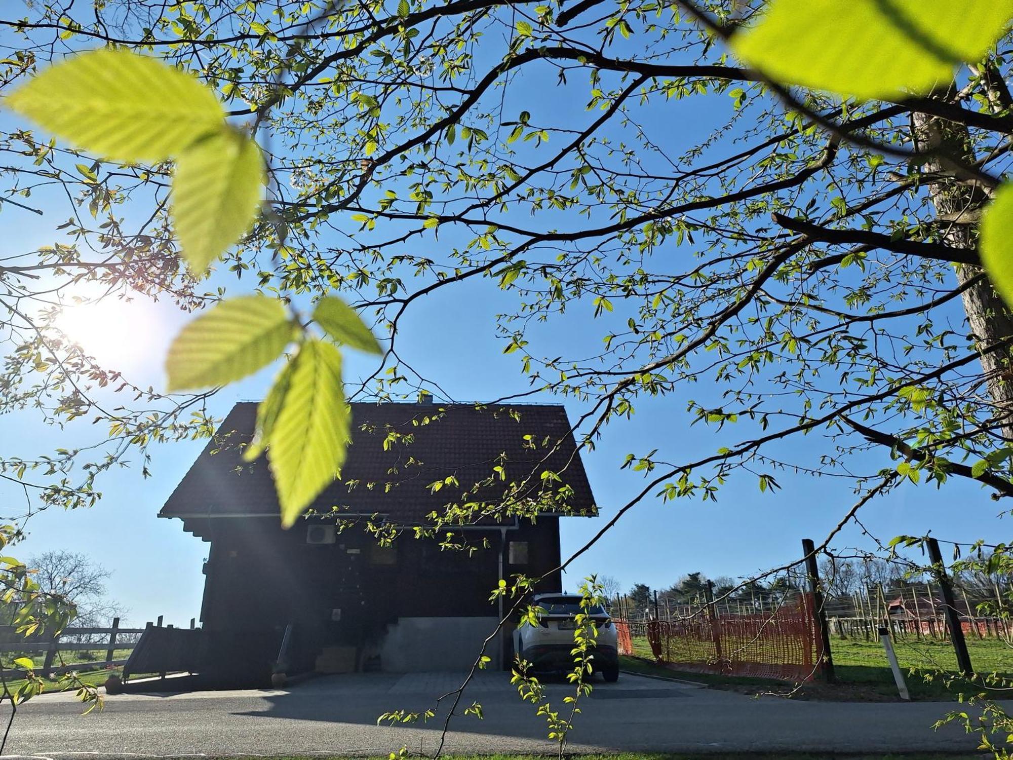 Logarska Koca Villa Fokovci ภายนอก รูปภาพ